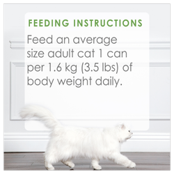 Feeding Recommendations